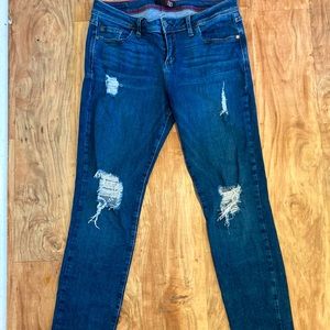 Fran Denim Distressed Jeans